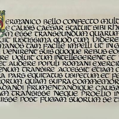 Beispiel Kalligrafie & Illustration Die Letter sind handgeschrieben. Das Initial von Hand gezeichnet.